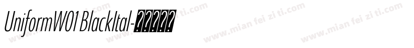 UniformW01 BlackItal字体转换